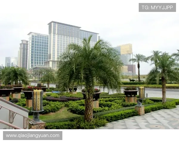 澳门总统集团娱乐平台安全保障措施详解，确保玩家资金与个人信息双重安全